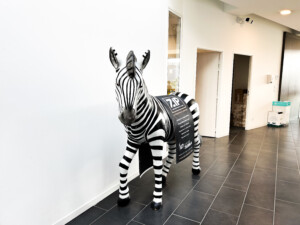 Groupe Zebra Agence