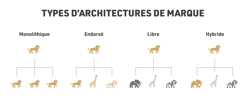 Architecture de marque Graphique