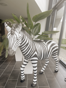 Agence Groupe Zebra