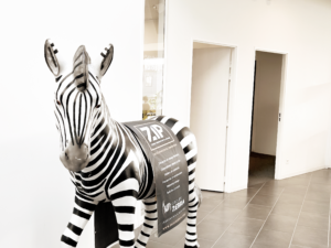 Agence Groupe Zebra